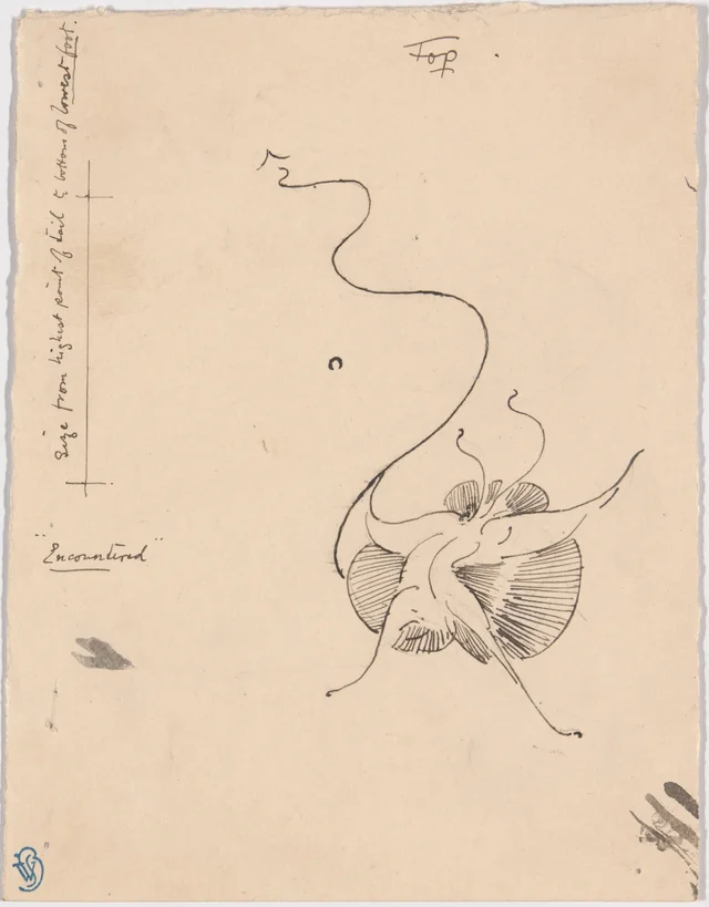Butterfly 'Encountered' (recto); Sketch for Tailpiece (verso), James McNeill Whistler