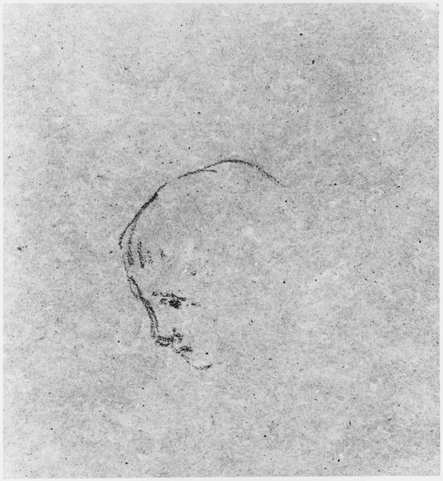 Head of a Boy