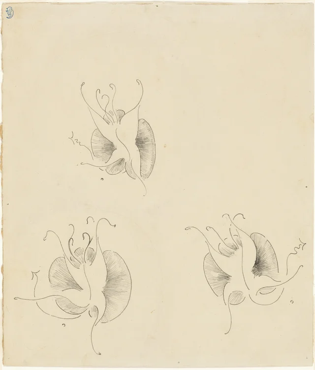 Three Butterflies