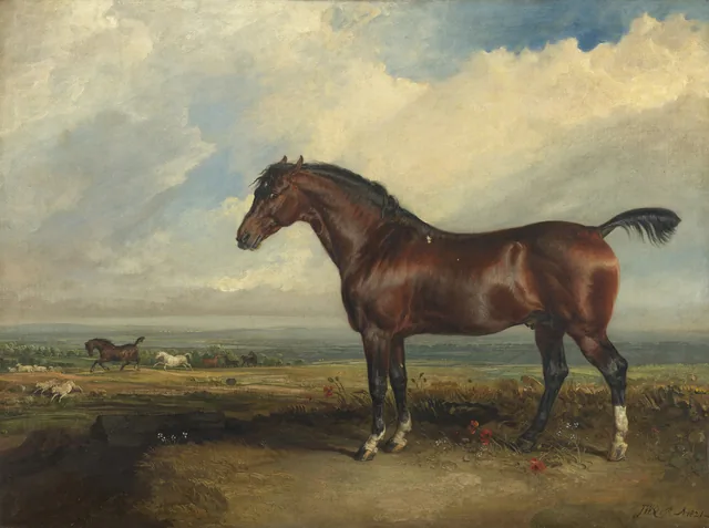 Monitor, James Ward