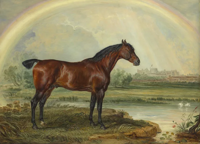 Nonpareil