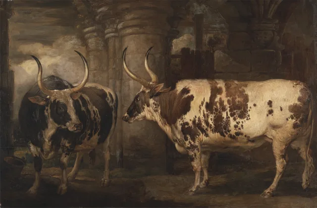 Portraits of Two Extraordinary Oxen, the Property of the Earl of Powis, James Ward