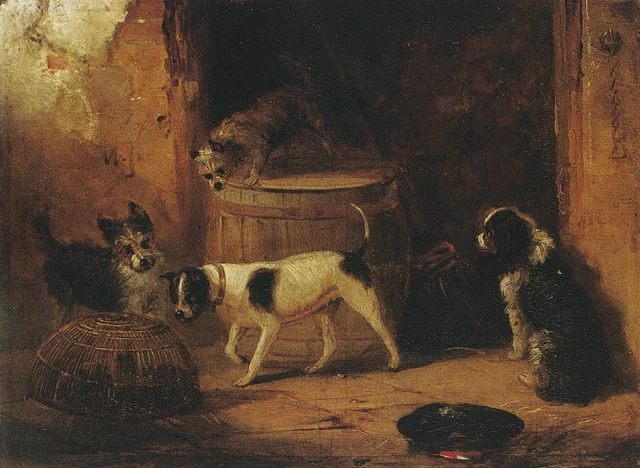 Rat-catching Dogs