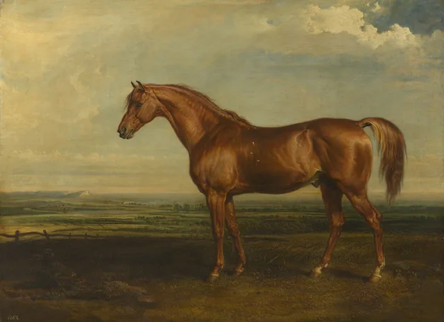 Soothsayer, James Ward