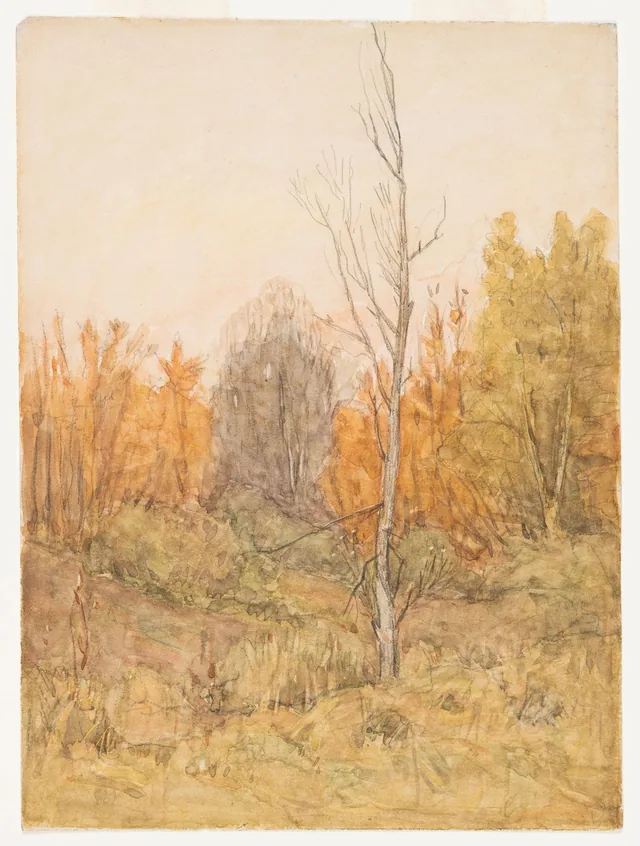 Bosque no outono, James Wilson Morrice