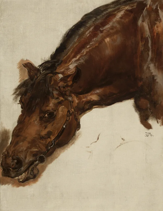 Study of a Horse Head