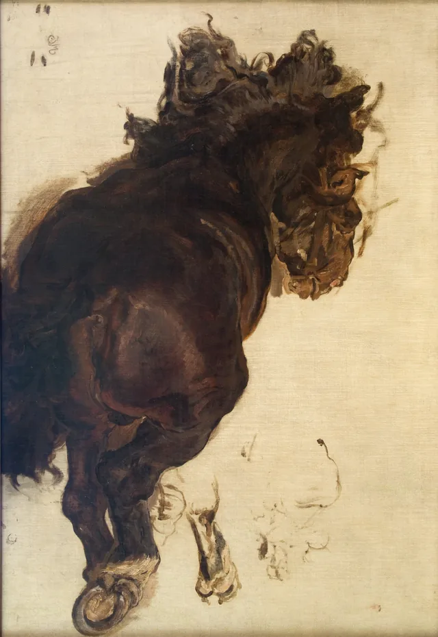 Study of a Laying Horse