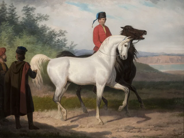 Buying an Arab Horse, January Suchodolski