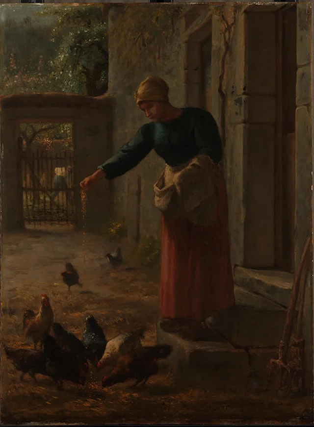 Woman Feeding Chickens