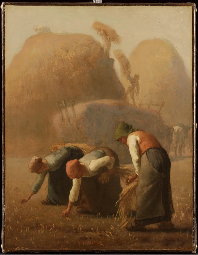 Gleaning, Summer