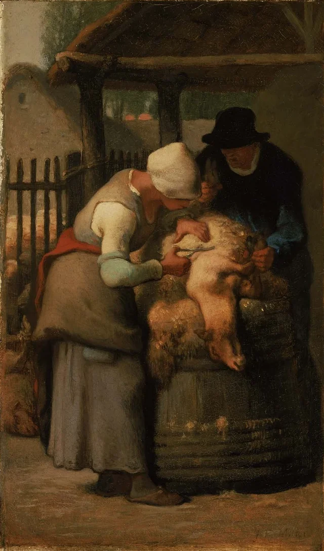 Esquileo de ovejas