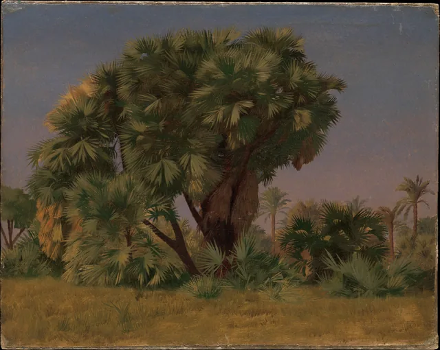 Estudo de palmeiras, Jean-Léon Gérôme