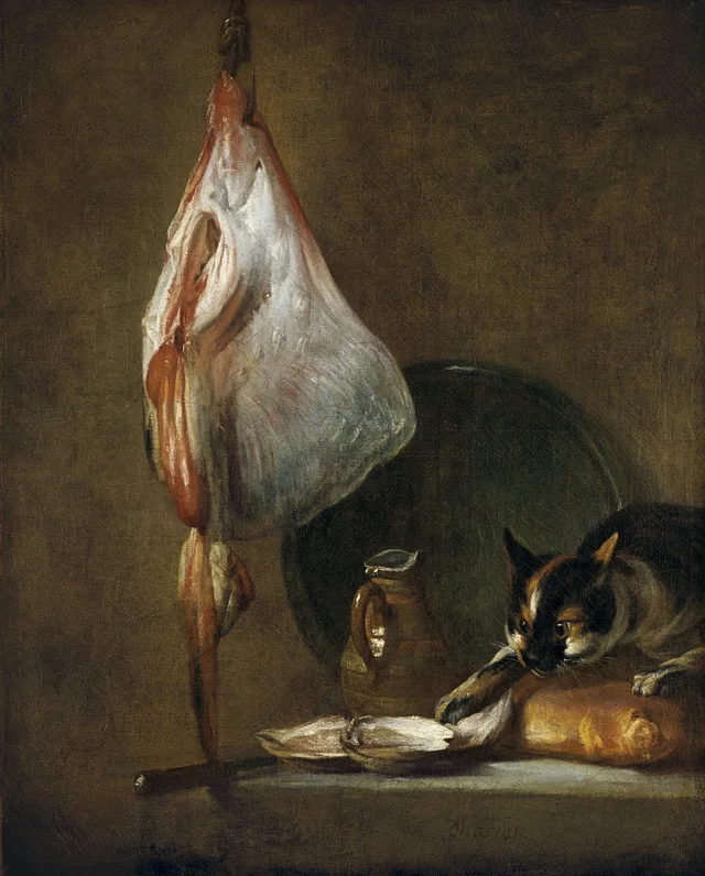 Still Life with Cat and Ray