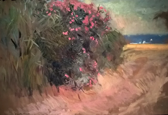 Adelfas de La Malvarrosa