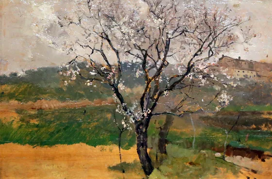 Almonds in Blossoms