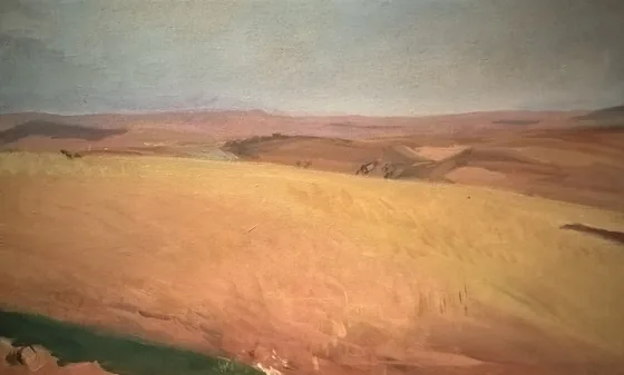 Campos de trigo, Castela