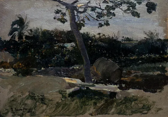 Garden, Valencia