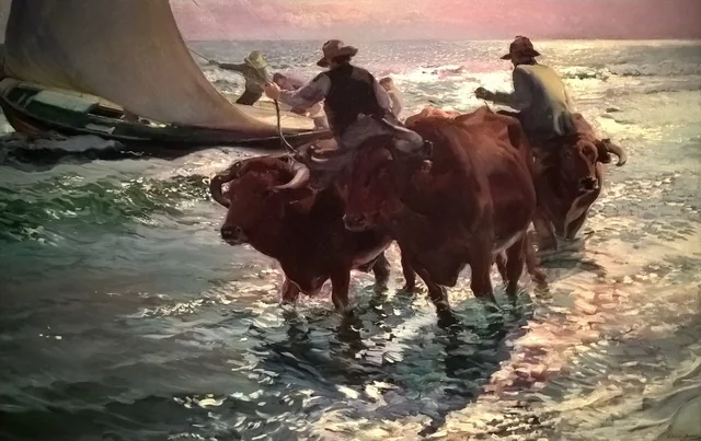 海の雄牛