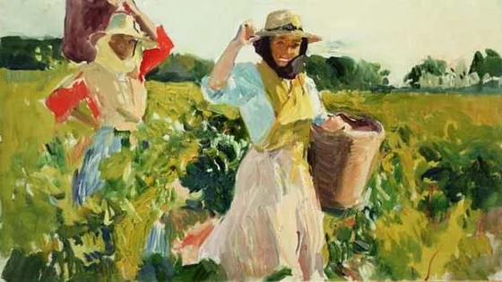 Vendimiando, Jerez