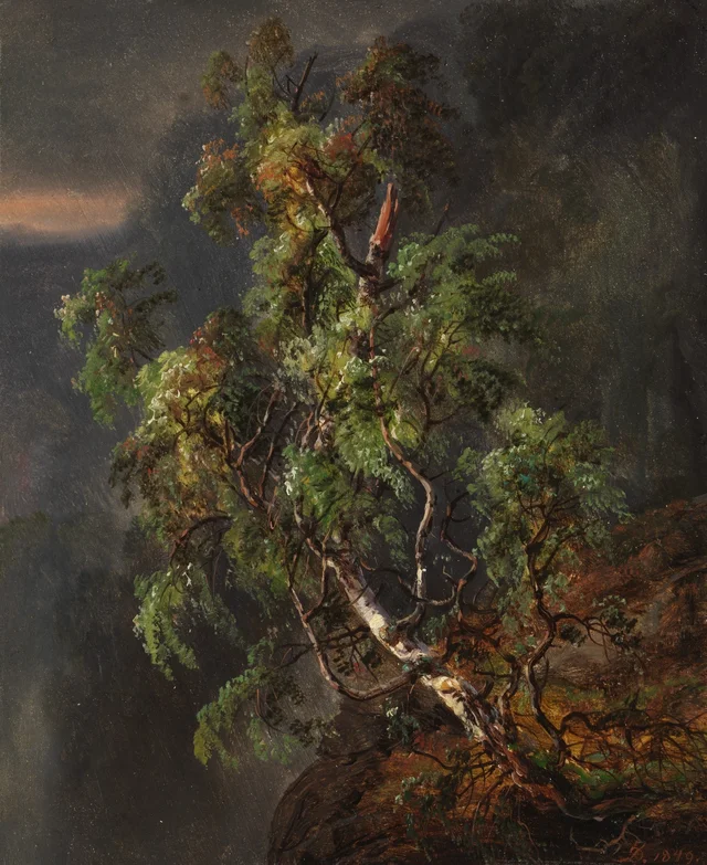 Abedul en la tormenta, Johan Christian Dahl