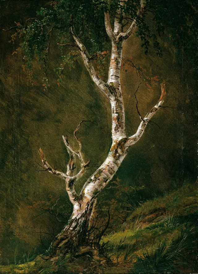 Estudio de abedul, Johan Christian Dahl