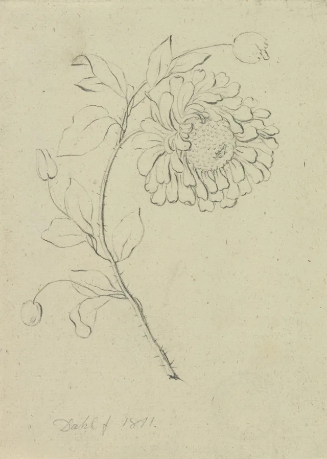 花
