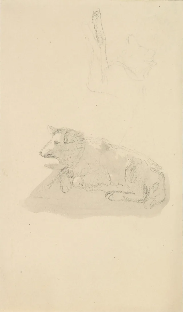 動物の習作