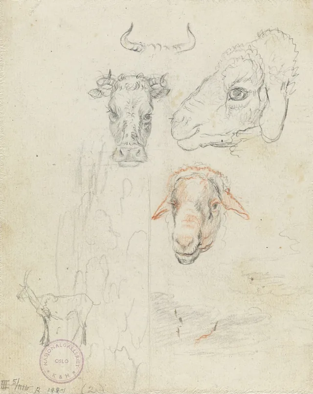 動物の習作