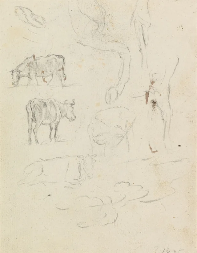 動物の習作