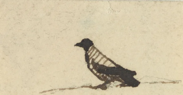 鳥