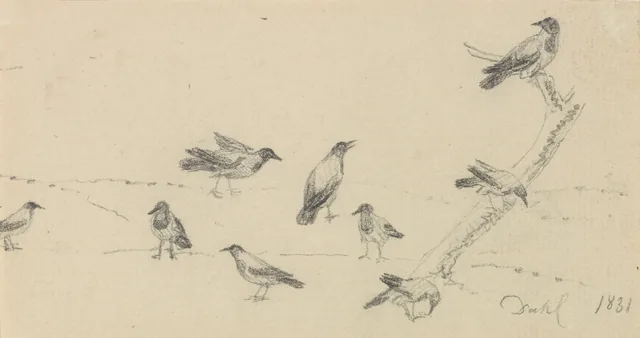風景の中の鳥