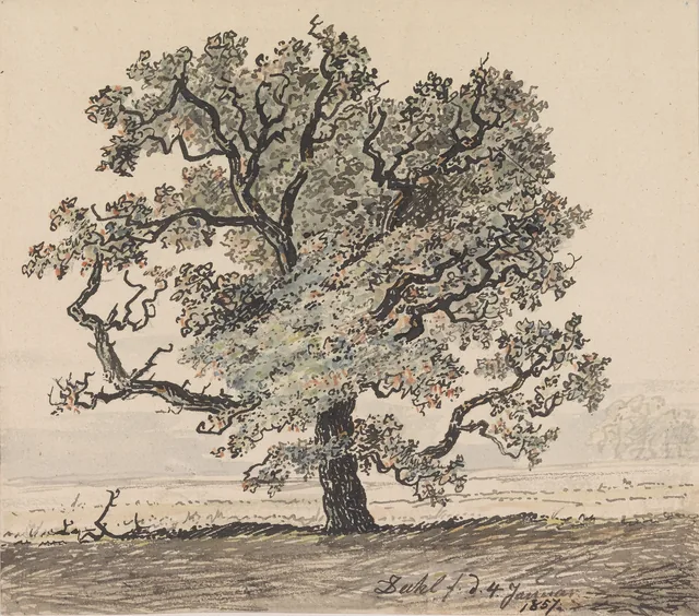 Pinheiro na planície, Johan Christian Dahl