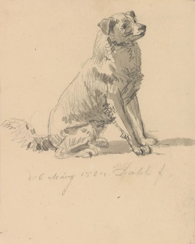 犬