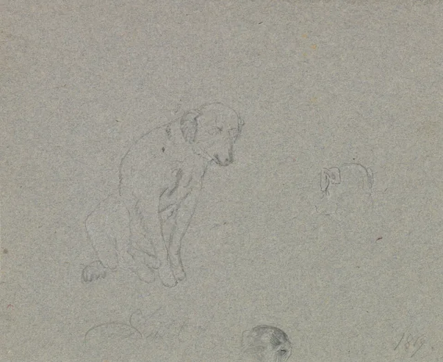 犬の習作
