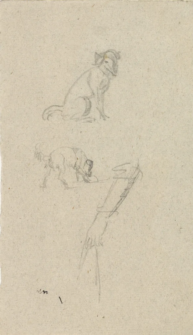 二匹の犬と腕の習作