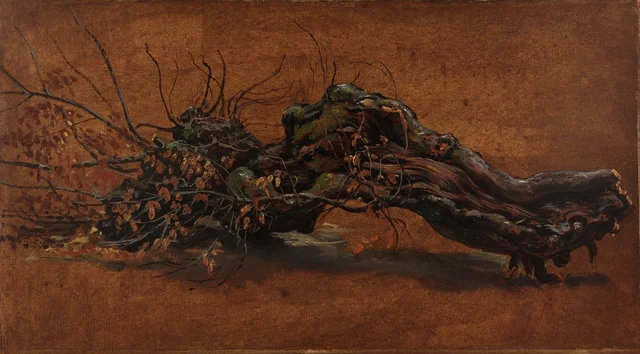 Estudio de tronco de árbol caído