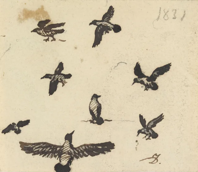 鳥の習作