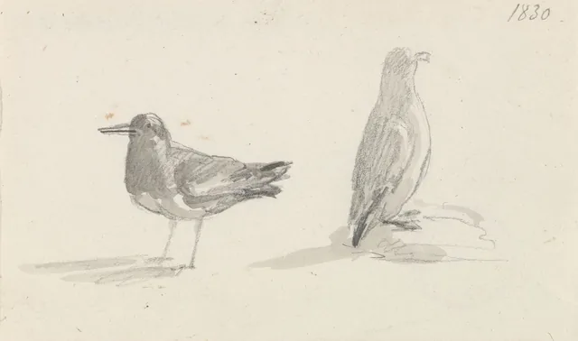 二羽の鳥