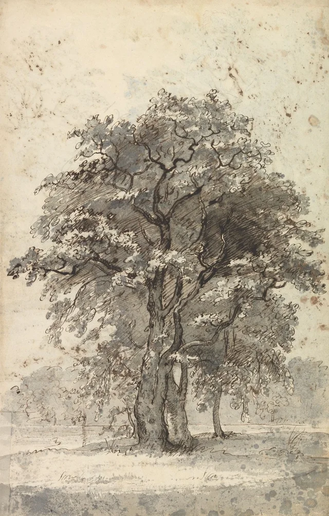 Grupo de árboles, Johan Christian Dahl