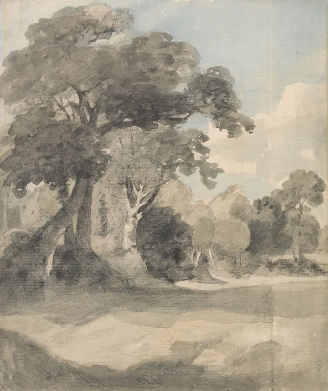Arbres dans un pré