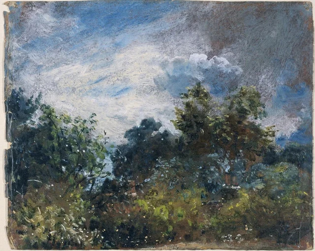 Étude de ciel et d'arbres
