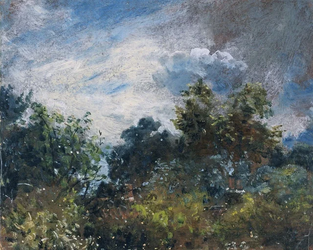 Estudio de cielo y árboles