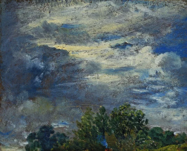 Estudio de cielo y árboles