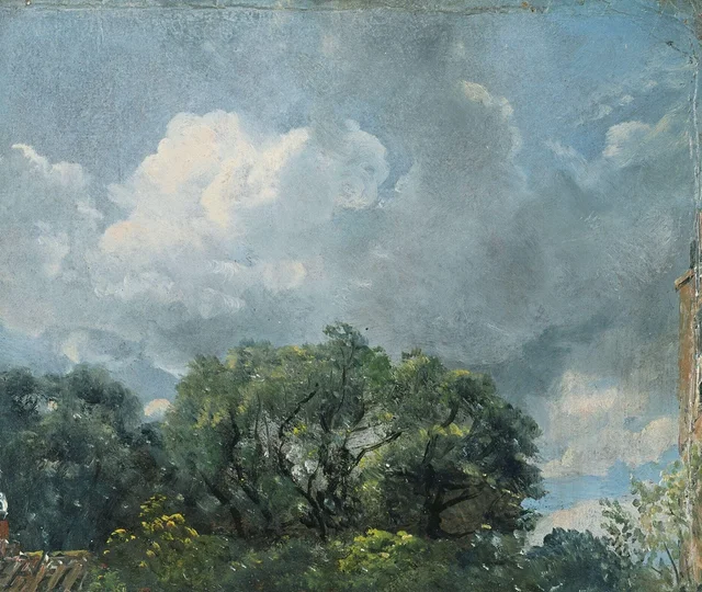Estudio de cielo y árboles