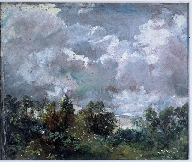 Study of clouds and trees