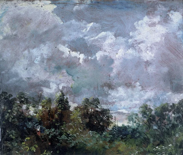 Estudio de nubes y árboles