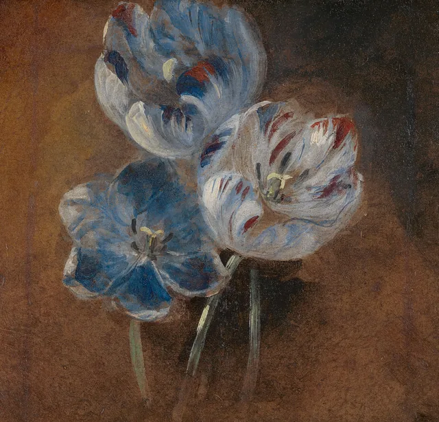 Study of Three Parrot Tulips, John Constable