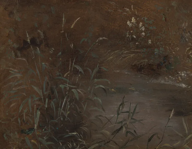 Joncs près d'une mare, John Constable