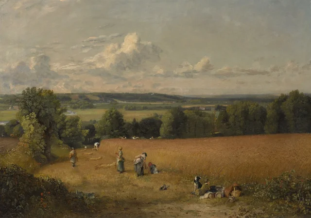 El campo de trigo