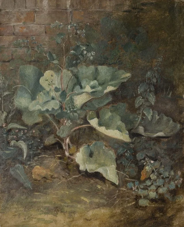Plants growing near a wall, John Constable